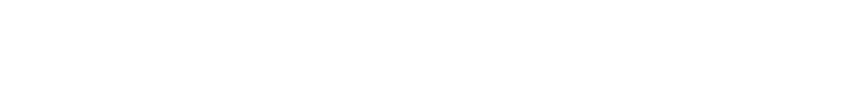 RETRORIRON Official Site